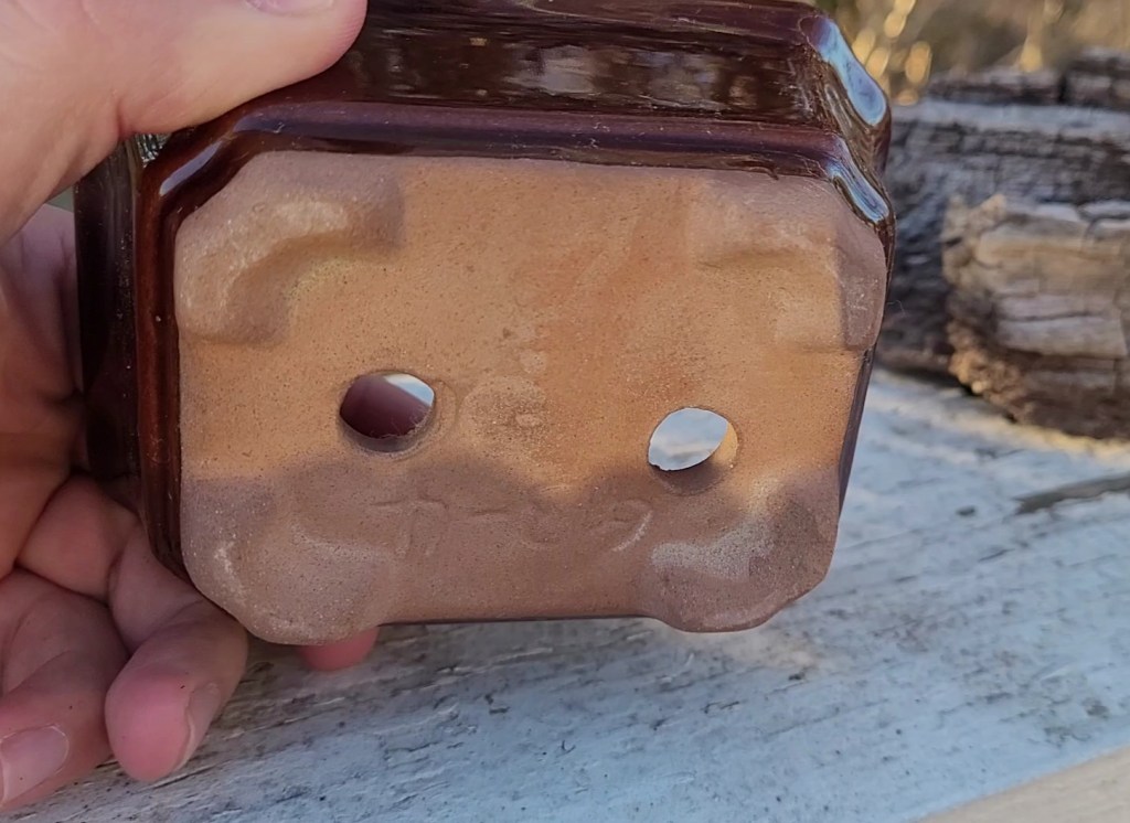 underside of a bonsai pot