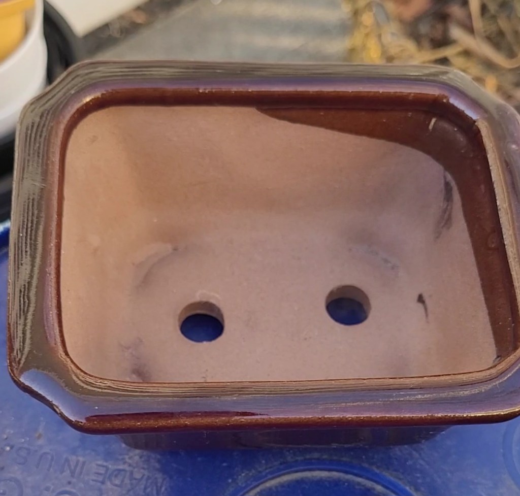 inside view of a bonsai pot
