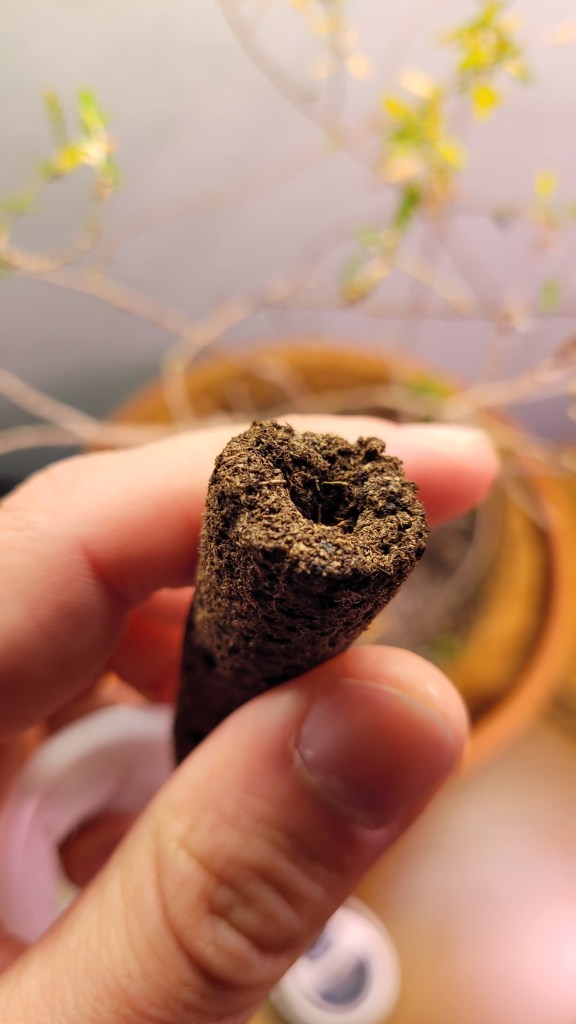 Aerogarden seed sponge