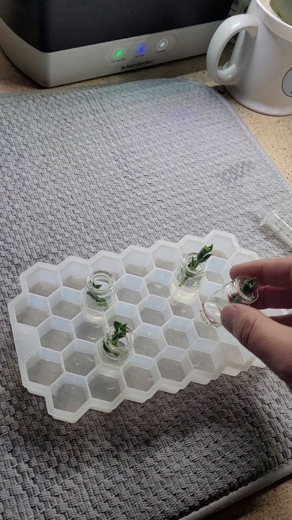 Kanna cutting set up