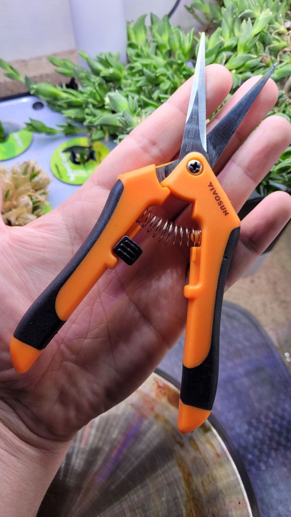 Vivosun 6.5 Inch Gardening Scissors in the open position