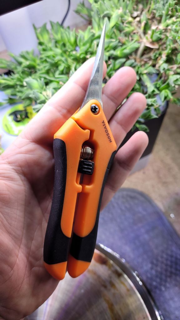 Vivosun 6.5 Inch Gardening Scissors