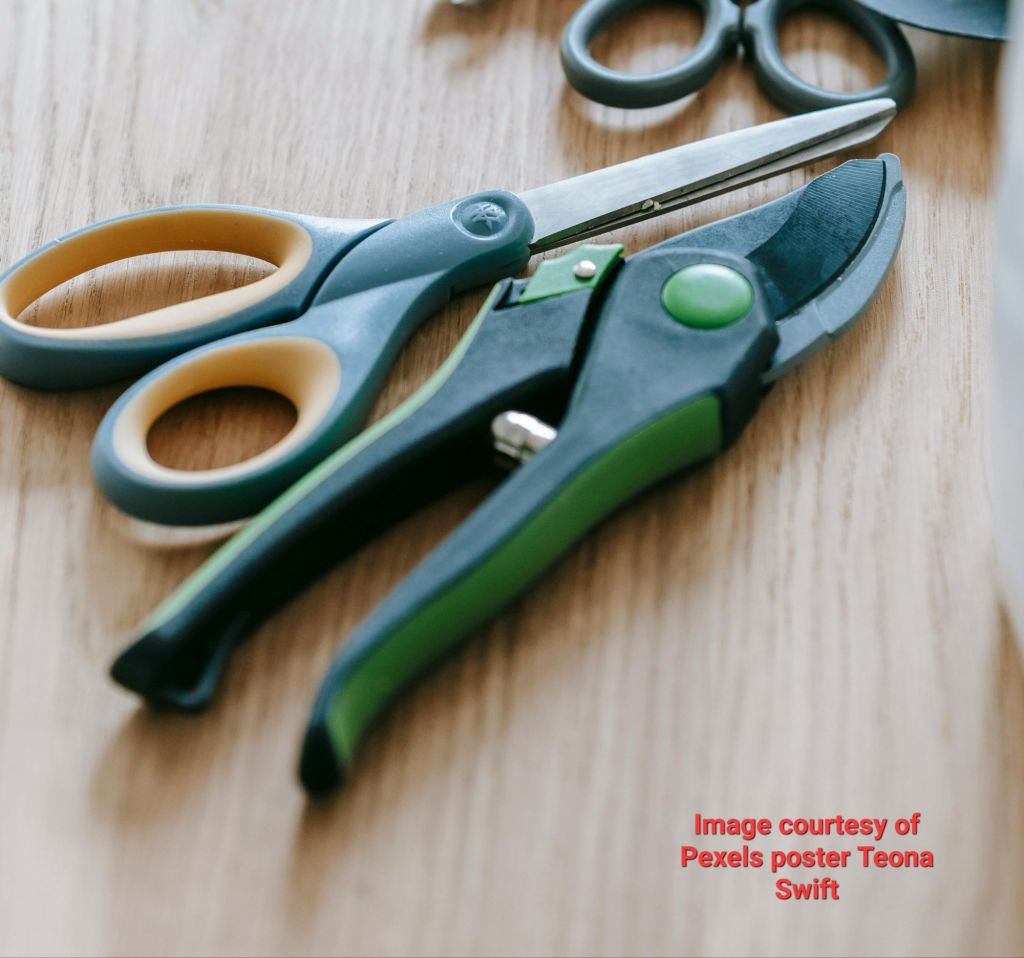 pruning shears and scissors