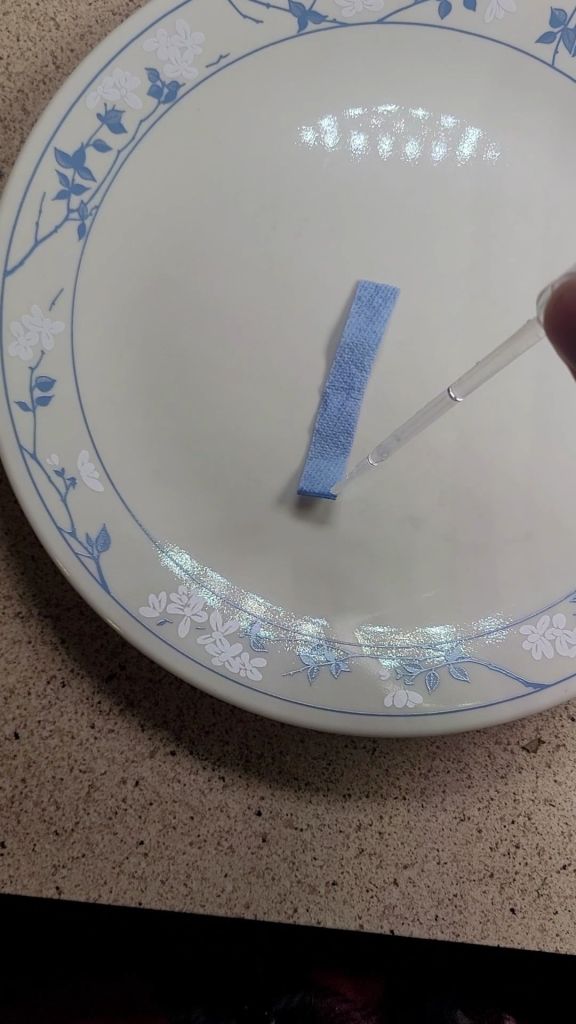 PH indicator strip homemade